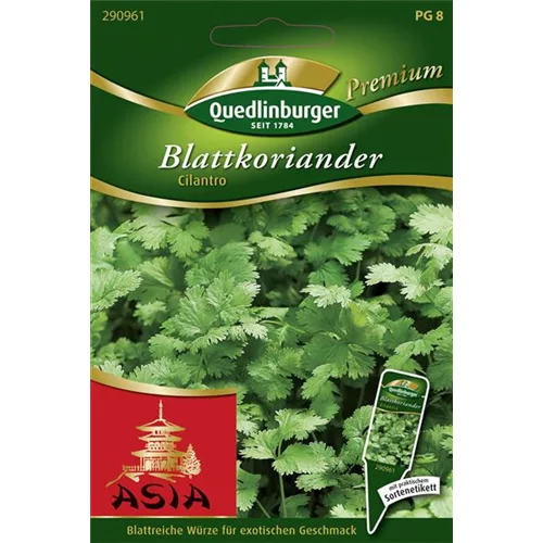 Koriandersamen 'Cilantro'