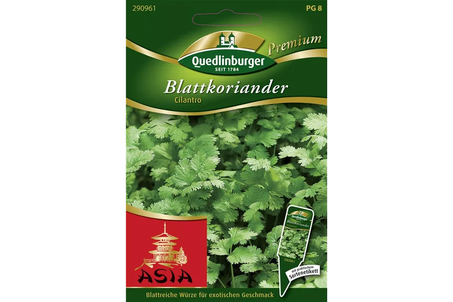 Koriandersamen 'Cilantro' Packungsinhalt reicht für ca. 150 Pflanzen