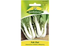 Pak Choi-Samen Packungsinhalt reicht für ca. 60 Pflanzen