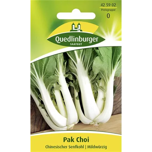 Pak Choi-Samen