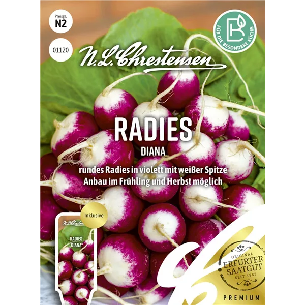 Radieschensamen 'Diana'