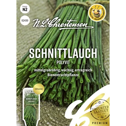 Schnittlauchsamen 'Polyvit'