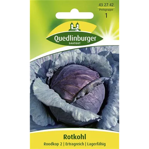 Rotkohlsamen 'Roodkop'