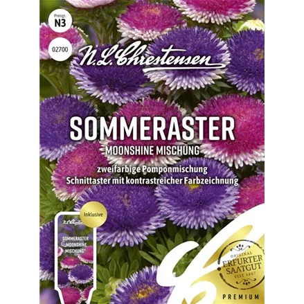 Somerastersamen 'Moonshine Mischung'