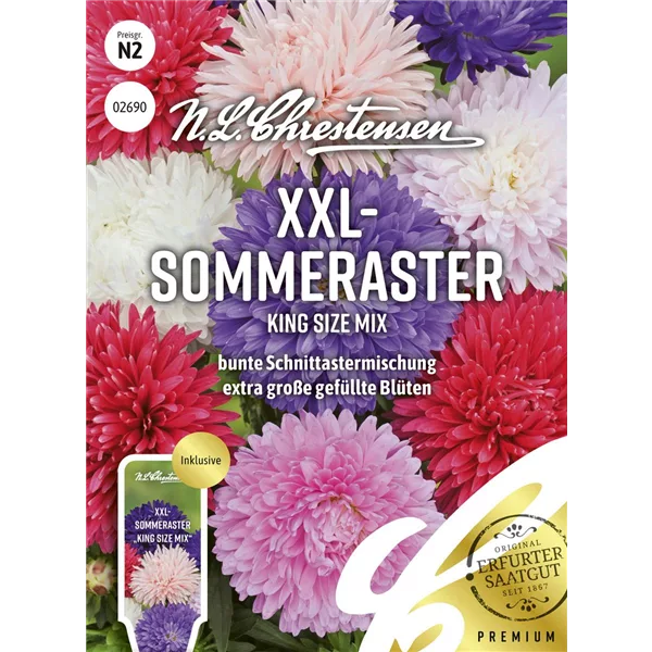 Sommerastersamen 'King Size Mix'