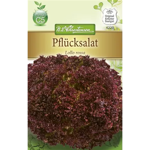 Pflücksalatsamen 'Lollo rosso'