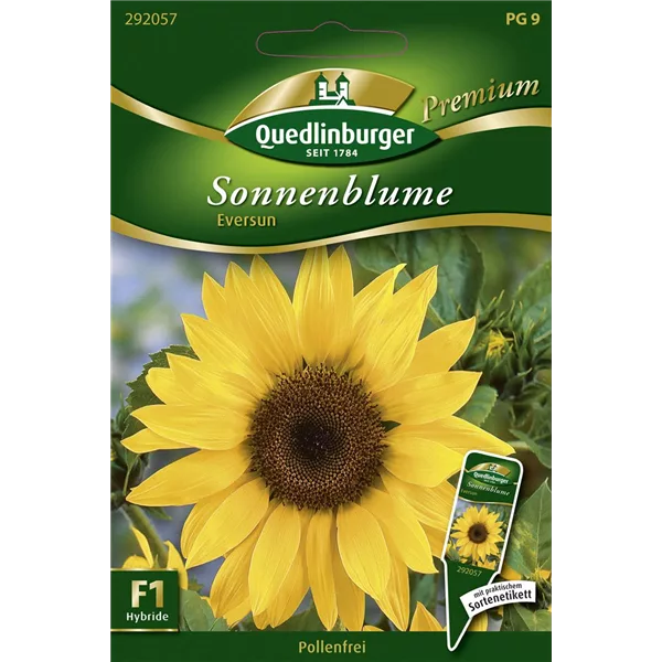 Sonnenblumennsamen 'Eversun'