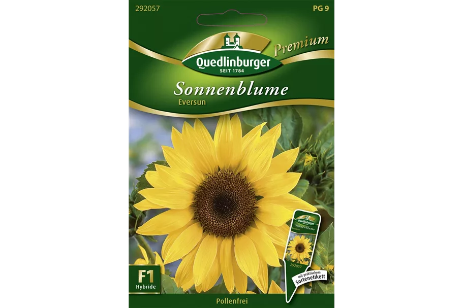 Sonnenblumennsamen 'Eversun' Inhalt reicht für ca. 10 Pflanzen