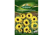 Sonnenblumensamen 'Ballad' Inhalt reicht für ca. 8-10 Pflanzen