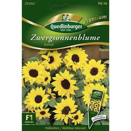 Sonnenblumensamen 'Ballad'