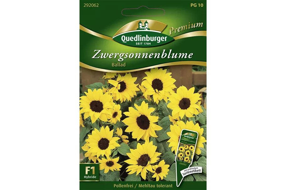 Sonnenblumensamen 'Ballad' Inhalt reicht für ca. 8-10 Pflanzen