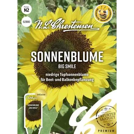 Sonnenblumensamen 'Big Smile'