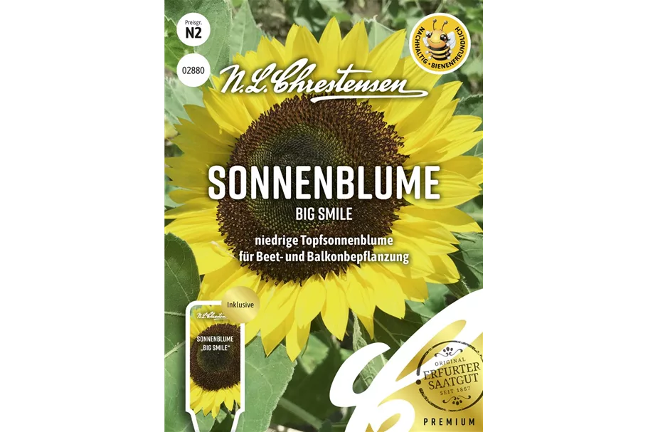 Sonnenblumensamen 'Big Smile' Inhalt reicht für ca. 10 Pflanzen