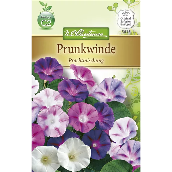 Prunkwindensamen 'Prachtmischung'