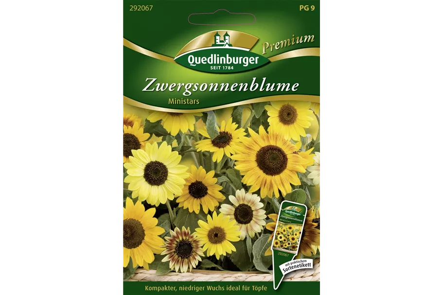 Sonnenblumensamen 'Ministars' Inhalt reicht für ca. 40 Pflanzen