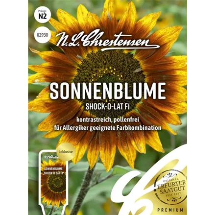 Sonnenblumensamen 'Shock-o-lat'