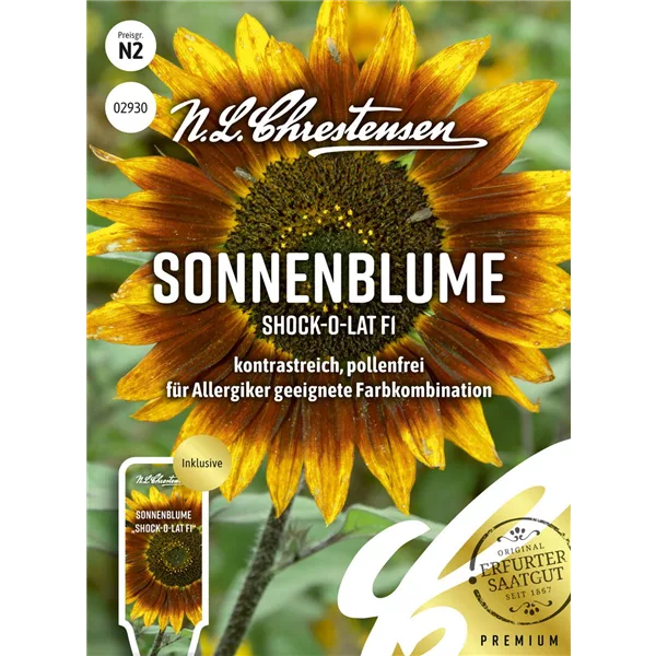 Sonnenblumensamen 'Shock-o-lat'