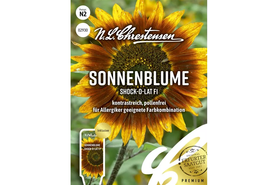 Sonnenblumensamen 'Shock-o-lat' Inhalt reicht für ca. 10 Pflanzen