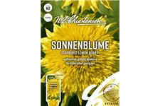 Sonnenblumensamen 'Starburst Lemon Aura' Inhalt reicht für ca. 10 Pflanzen