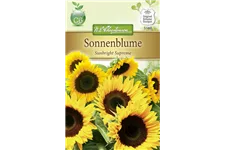 Sonnenblumensamen 'Sunbright' Inhalt reicht für ca. 15 Pflanzen