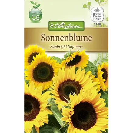 Sonnenblumensamen 'Sunbright'