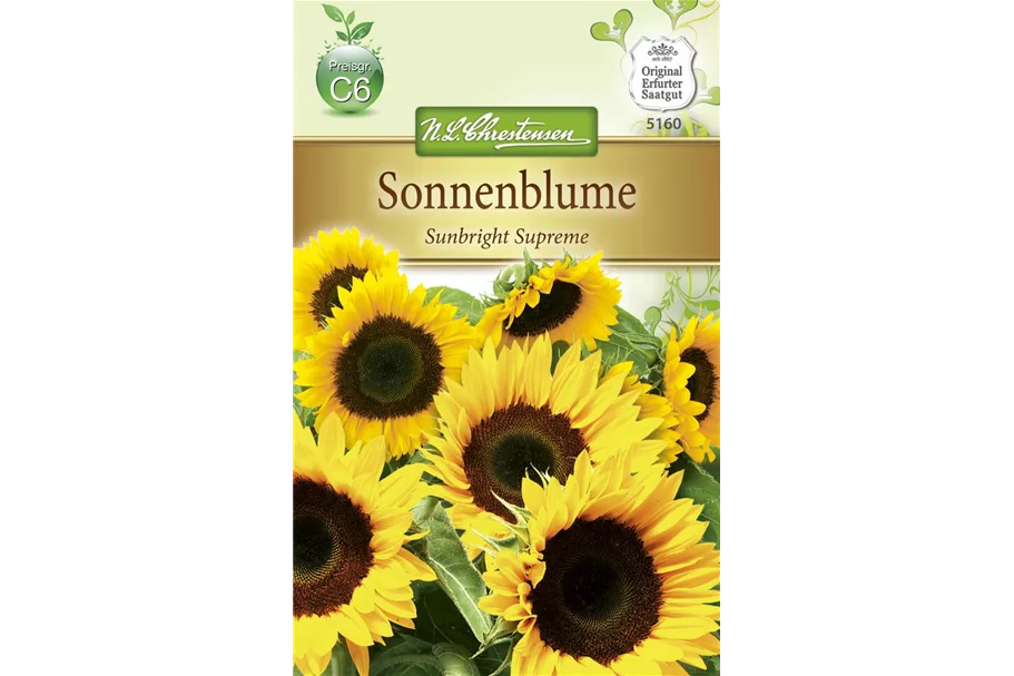 Sonnenblumensamen 'Sunbright' Inhalt reicht für ca. 15 Pflanzen