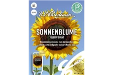 Sonnenblumensamen 'Yellow Giant' Inhalt reicht für ca. 15 Pflanzen