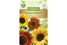 Sonnenblumensamen 'Riesenblumige' Inhalt reicht für ca. 50 Pflanzen