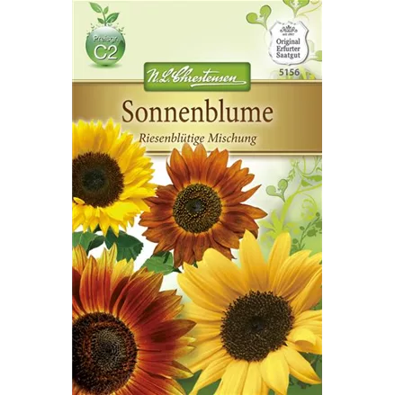 Sonnenblumensamen 'Riesenblumige'