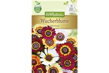 Wucherblumensamen Inhalt reicht für ca. 80 Pflanzen