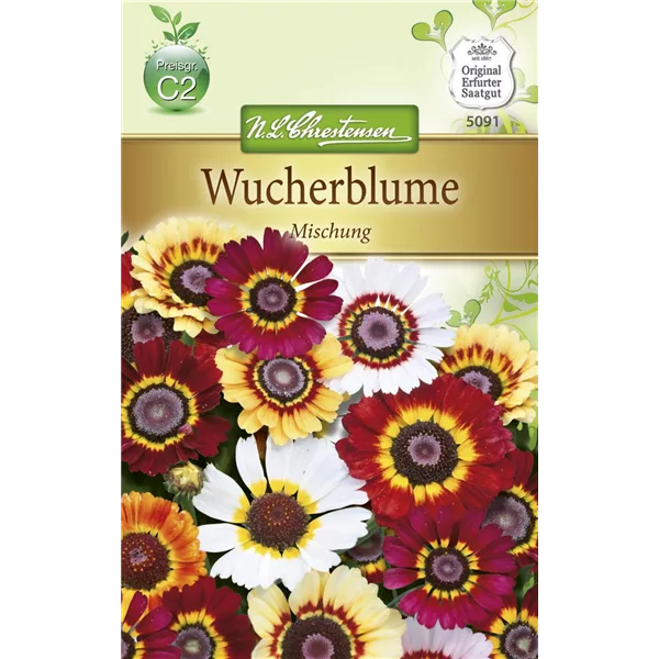 Wucherblumensamen