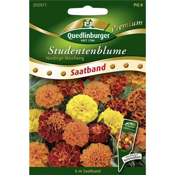 Studentenblumensamen 'Niedrige Mischung'