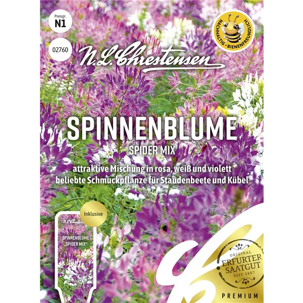 Spinnenblumensamen