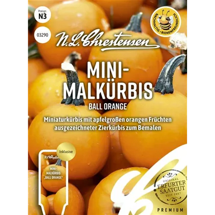 Zierkürbissamen 'Ball Orange'