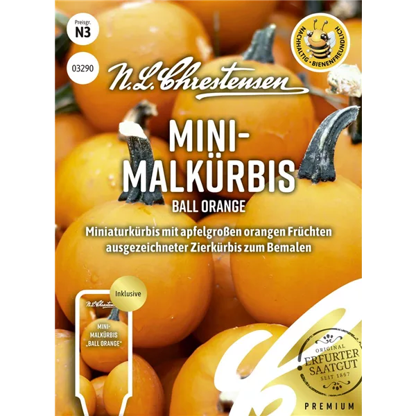 Zierkürbissamen 'Ball Orange'