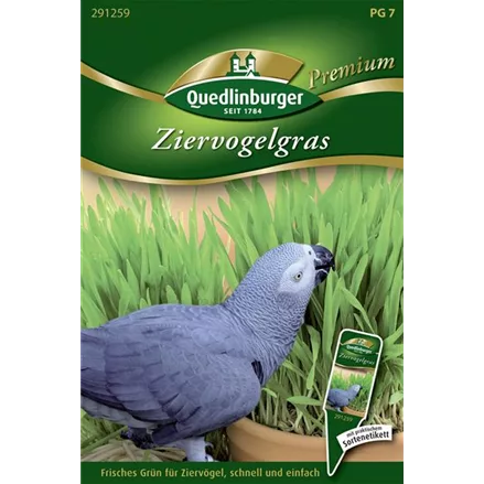 Ziervogelgrassamen