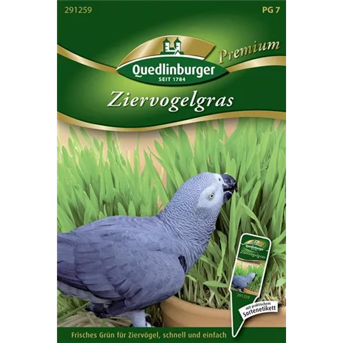 Ziervogelgrassamen