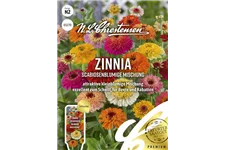 Zinniensamen Inhalt reicht für ca. 40 Pflanzen