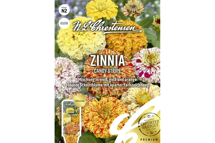 Zinniensamen 'Candy Stripe' Inhalt reicht für ca. 40 Pflanzen