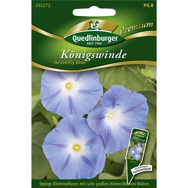 Trichterwindensamen 'Heavenly Blue'