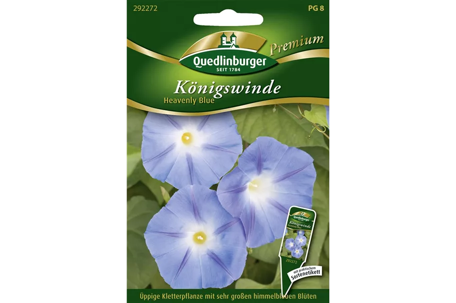 Trichterwindensamen 'Heavenly Blue' Inhalt reicht für ca. 50 Pflanzen