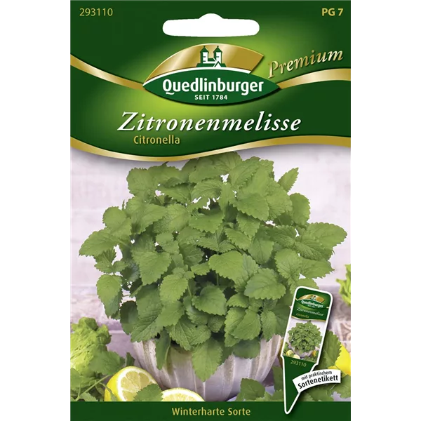 Zitronenmelissensamen 'Citronella'