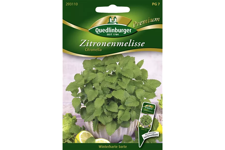 Zitronenmelissensamen 'Citronella' Packungsinhalt reicht für ca. 200 Pflanzen