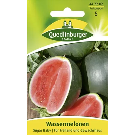 Wassermelonensamen 'Sugar Baby'