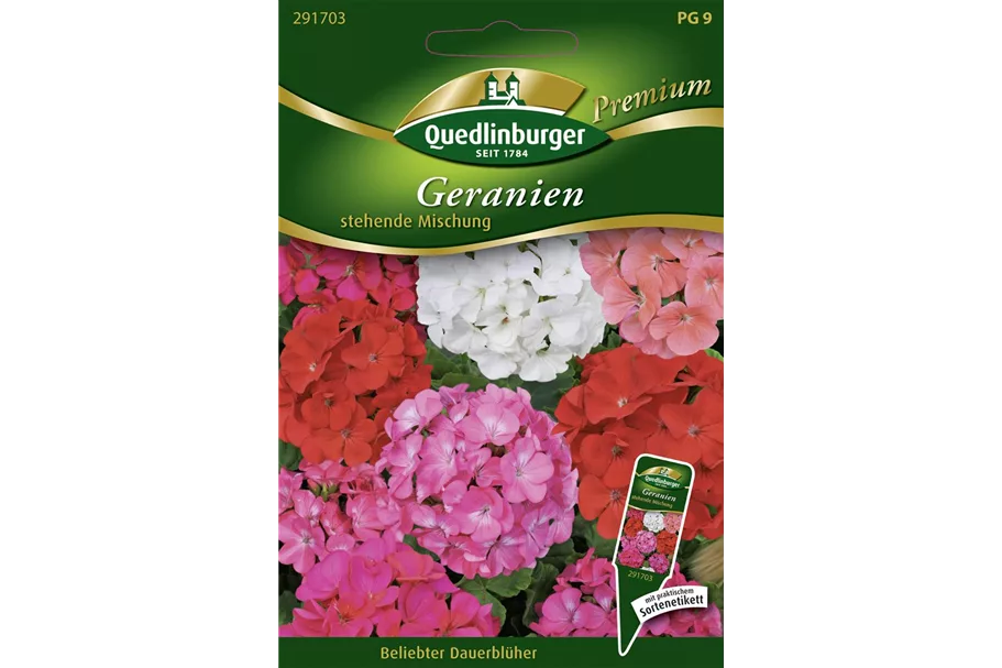 Zonal-Pelargonie-Samen Inhalt reicht für ca. 8 Pflanzen