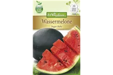 Wassermelonensamen 'Sugar Baby' Inhalt reicht für ca. 16 Pflanzen