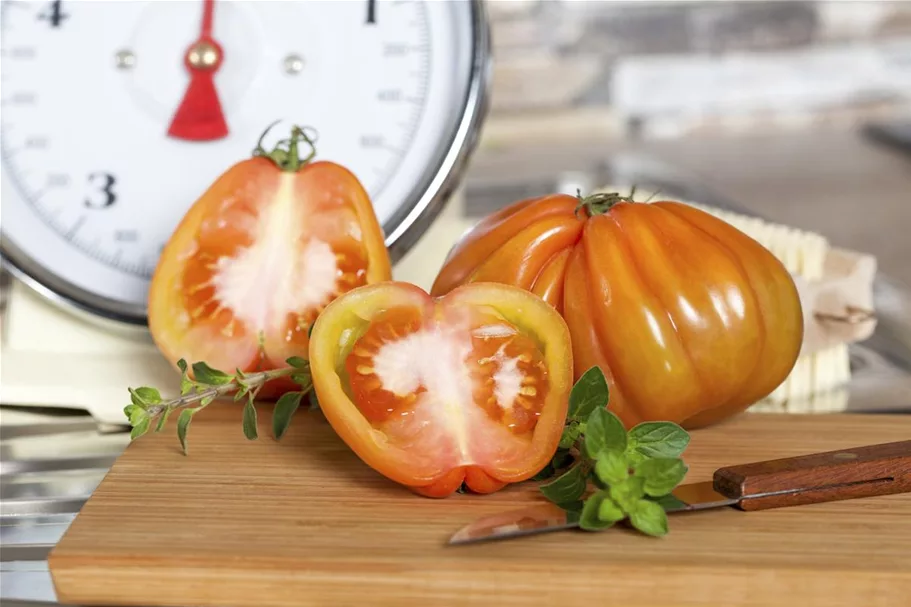 Tomatensamen Inhalt reicht für ca. 12-15 Pflanzen