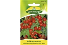 Tomatensamen 'Balconi Red' Packungsinhalt reicht für ca. 15 Pflanzen