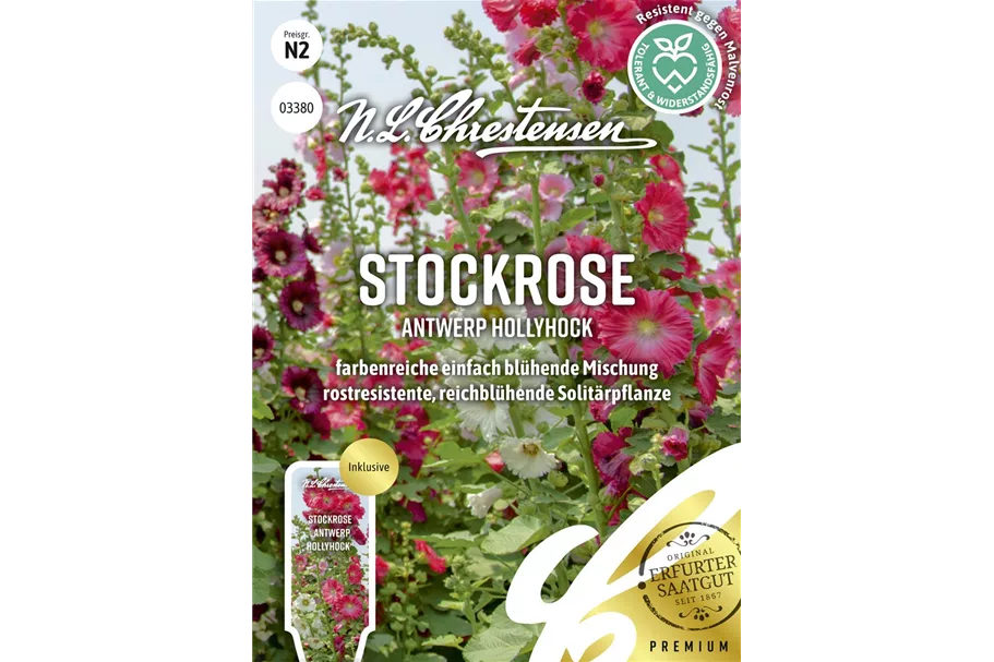 Stockrosensamen 'Antwerp Hollyhock' Inhalt reicht für ca. 30 Pflanzen