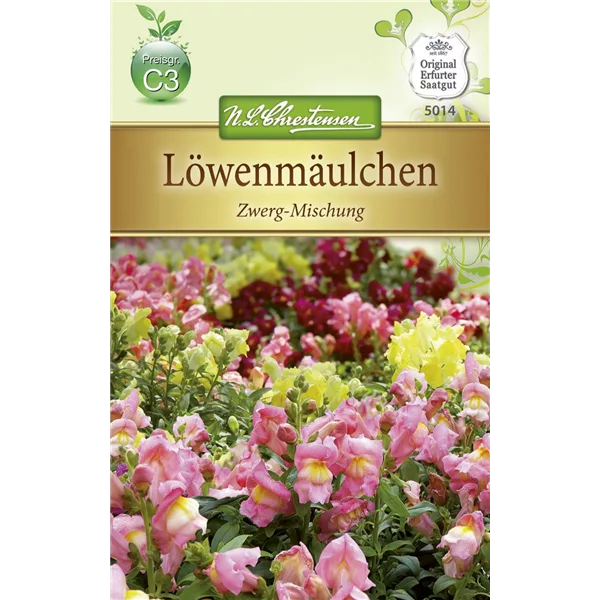 Zwerg-Löwenmaul-Samen